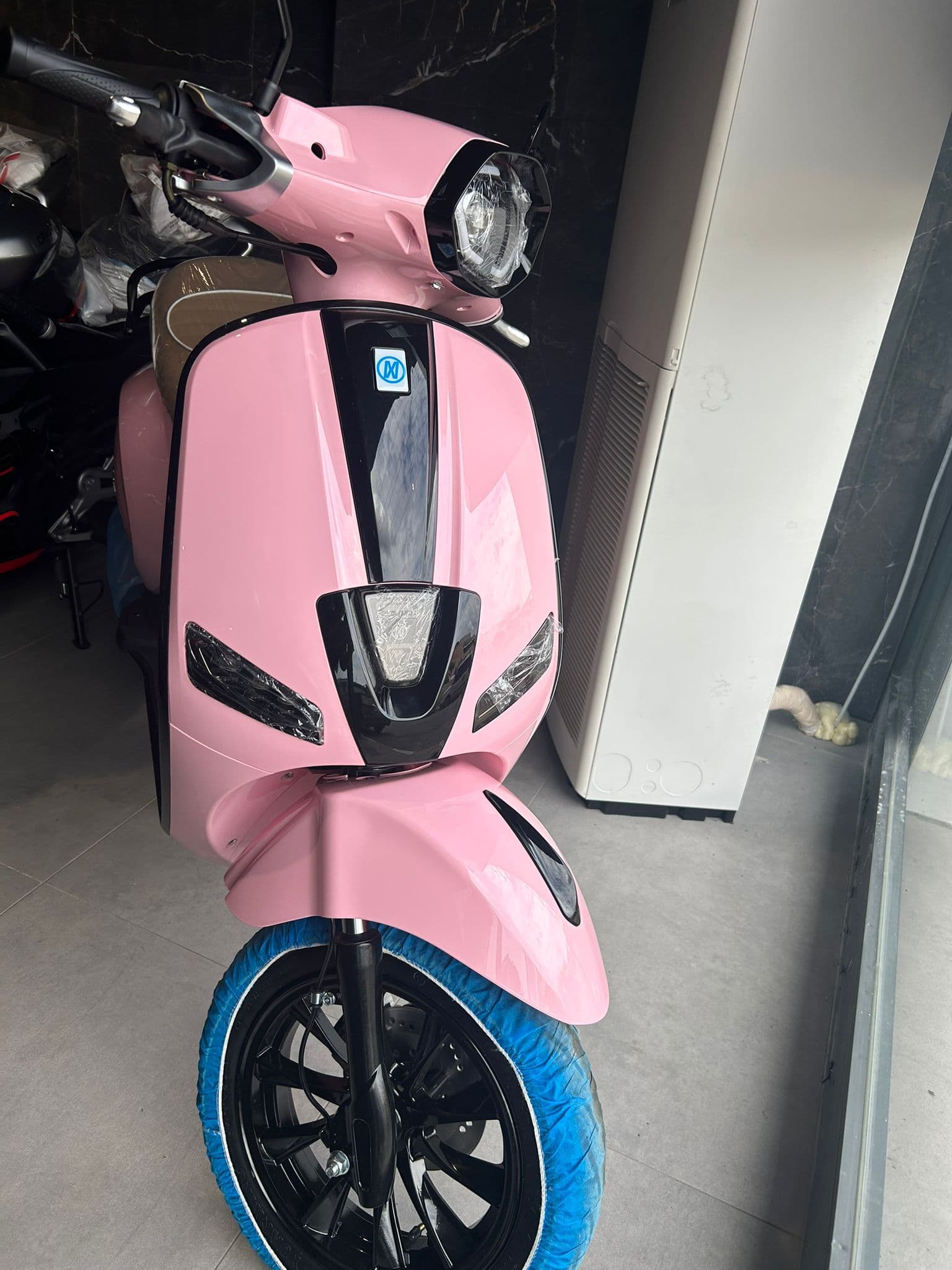 50 WING - PEMBE (E5)